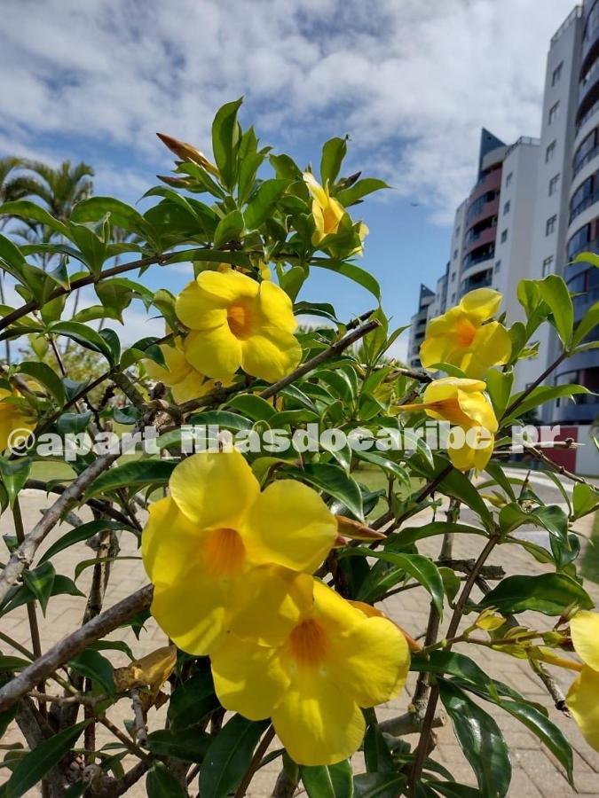 מטיניוס Apto Cond Ilhas Do Caribe - Pr - Beira Mar מראה חיצוני תמונה